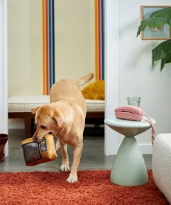 Frisco Retro Television Ballistic Nylon Plush Squeaky Dog Toy -Pet Food Gear Shop 230308 PT3. SY630 V1601947325