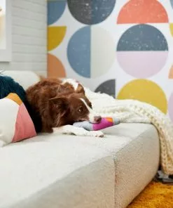 Frisco Retro Lava Lamp Ballistic Nylon Plush Squeaky Dog Toy 7 Frisco Retro Lava Lamp Ballistic Nylon Plush Squeaky Dog Toy -Pet Food Gear Shop 230310 PT3. SY630 V1601947330