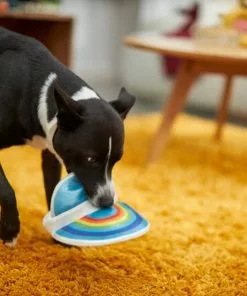 Frisco Retro Visor Plush Squeaky Dog Toy -Pet Food Gear Shop 230335 PT3. SY630 V1602639720