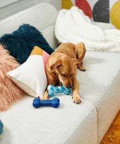 Frisco Retro Denim & Swirl Bone TPR Squeaky Dog Toy -Pet Food Gear Shop 230341 PT3. SY630 V1601947274