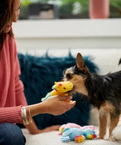 Frisco Retro Colorful Pony Plush Squeaky Dog Toy -Pet Food Gear Shop 230357 PT3. SY630 V1601947361