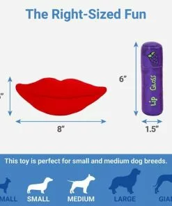 Frisco Retro Lip Gloss Plush Squeaky Dog Toy -Pet Food Gear Shop 230365 PT1. SY630 V1599943557
