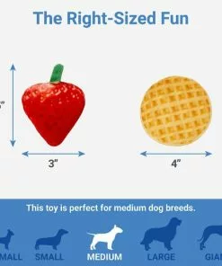 Frisco Retro Waffle Box Hide & Seek Plush Puzzle Squeaky Dog Toy -Pet Food Gear Shop 230369 PT2. SY630 V1599943565