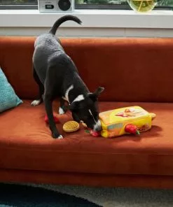 Frisco Retro Waffle Box Hide & Seek Plush Puzzle Squeaky Dog Toy -Pet Food Gear Shop 230369 PT3. SY630 V1602639769