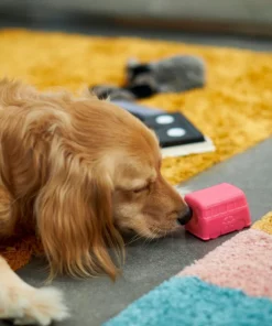 Frisco Retro Funky Van TPE Treat Dispenser Dog Toy 7 Frisco Retro Funky Van TPE Treat Dispenser Dog Toy -Pet Food Gear Shop 230382 PT3. SY630 V1602639677