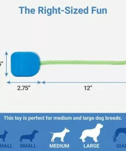 Frisco Retro PC Mouse Rubber Tug & Fetch Dog Toy -Pet Food Gear Shop 230385 PT1. SY630 V1599943590