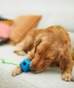 Frisco Retro PC Mouse Rubber Tug & Fetch Dog Toy -Pet Food Gear Shop 230385 PT3. SY630 V1606953426