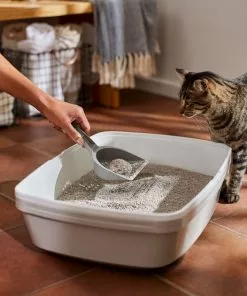 Frisco Lightweight Unscented Clumping Cat Litter 13 Frisco Lightweight Unscented Clumping Cat Litter -Pet Food Gear Shop 230716 PT4. SY630 V1659023918