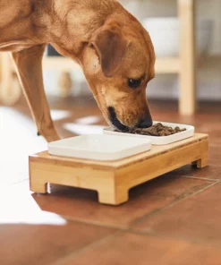 Frisco Square Melamine Dog & Cat Bowl Set with Bamboo Stand -Pet Food Gear Shop 232076 PT8. SY630 V1605757015