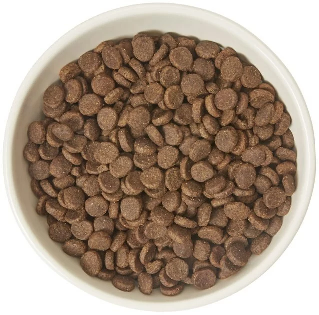 Frisco Double-Sided Ceramic Elevated Cat Bowl, 1.25 cups 6 Frisco Double-Sided Ceramic Elevated Cat Bowl, 1.25 cups - Image 4