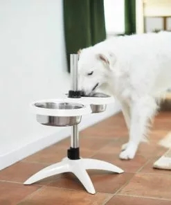 Frisco Adjustable Stainless Steel Double Elevated Dog Bowls, 7 Cups -Pet Food Gear Shop 232097 PT8. SY630 V1605740511