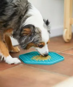 Frisco Silicone Treat Lick Mat, 2 Count -Pet Food Gear Shop 232099 PT7. SY630 V1605739324