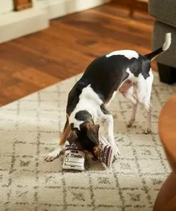 Frisco Ballot Box Hide-and-Seek Puzzle Dog Toy Refill, 3 count -Pet Food Gear Shop 233571 PT3. SY630 V1600973757