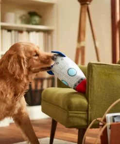 Frisco Ballistic Nylon Plush Squeaky Rocket Ship Dog Toy -Pet Food Gear Shop 233581 PT3. SY630 V1600973767
