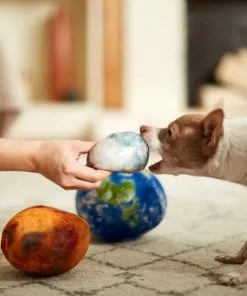 Frisco Earth, Mars, & Moon Plush Squeaky Dog Toy, 3 count 7 Frisco Earth, Mars, & Moon Plush Squeaky Dog Toy, 3 count -Pet Food Gear Shop 233587 PT3. SY630 V1600973771