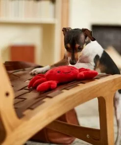 Frisco Crab Dense Foam Squeaky Dog Toy 7 Frisco Crab Dense Foam Squeaky Dog Toy -Pet Food Gear Shop 233589 PT3. SY630 V1600973800