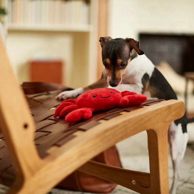 Frisco Crab Dense Foam Squeaky Dog Toy 5 Frisco Crab Dense Foam Squeaky Dog Toy - Image 3