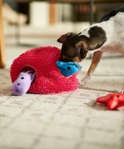 Frisco Hide & Seek Plush Coral Puzzle Dog Toy -Pet Food Gear Shop 233595 PT3. SY630 V1600973820