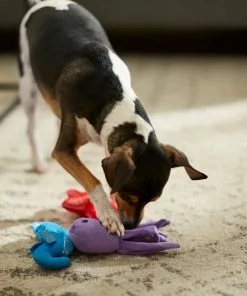 Frisco Hide & Seek Plush Coral Puzzle Dog Toy Refill, 3 count -Pet Food Gear Shop 233597 PT3. SY630 V1600973853