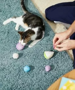 Frisco Birthday Bundle Cat Toy with Catnip, 5 count -Pet Food Gear Shop 233599 PT2. SY630 V1600974070