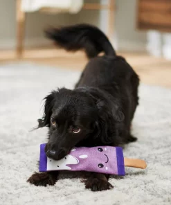 Frisco Popsicle Firehose Squeaky Dog Toy -Pet Food Gear Shop 233607 PT3. SY630 V1600974055