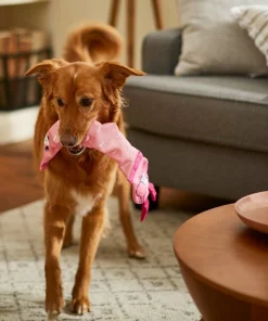 Frisco Flamingo Firehose Squeaky Dog Toy -Pet Food Gear Shop 233609 PT3. SY630 V1600974084