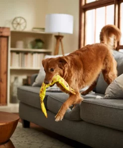 Frisco Giraffe Firehose Squeaky Dog Toy -Pet Food Gear Shop 233611 PT3. SY630 V1600974060