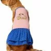 Frisco Bee Mine Dog & Cat Dress -Pet Food Gear Shop 238176 MAIN. SY630 V1607452325
