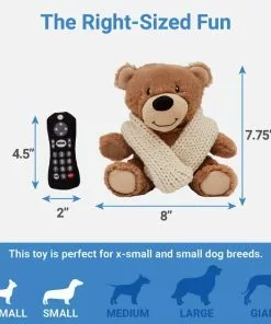 Frisco Zoomies & Chill Cozy Blanket Bear Plush Squeaky Dog Toy -Pet Food Gear Shop 241675 PT1. SY630 V1612879571