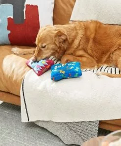 Frisco Zoomies & Chill Candy Plush Squeaky Dog Toy, 2 count -Pet Food Gear Shop 241687 PT6. SY630 V1610768450