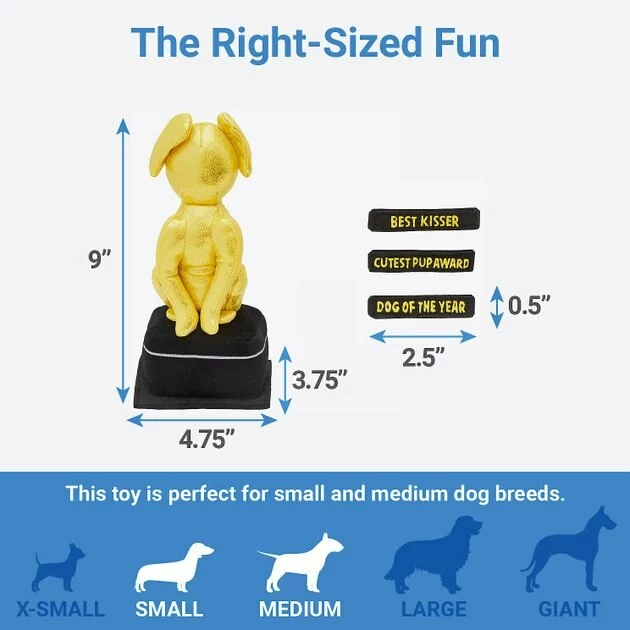 Frisco Zoomies & Chill Award Plush Squeaky Dog Toy 4 Frisco Zoomies & Chill Award Plush Squeaky Dog Toy - Image 2