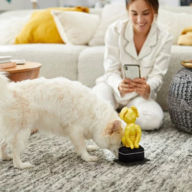 Frisco Zoomies & Chill Award Plush Squeaky Dog Toy 5 Frisco Zoomies & Chill Award Plush Squeaky Dog Toy - Image 3