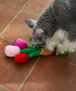 Frisco Rose Bouquet Plush Squeaky Dog Toy -Pet Food Gear Shop 241733 PT6. SY630 V1607990908