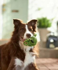 Frisco Dual Handle Neon Ball Squeaky Dog Toy, Yellow & Gray -Pet Food Gear Shop 242131 PT2. SY630 V1605208693