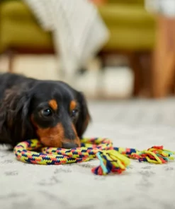 Frisco Pretzel Rope Dog Toy -Pet Food Gear Shop 242141 PT2. SY630 V1605208795