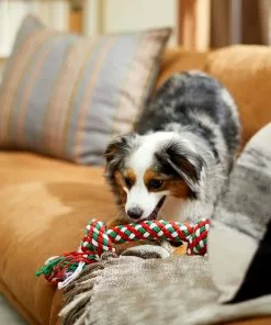 Frisco Double Knot Tri-Color Rope Dog Toy -Pet Food Gear Shop 242149 PT2. SY630 V1605208647