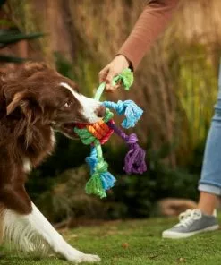 Frisco Colorful Ball Knot Rope Dog Toy -Pet Food Gear Shop 242160 PT2. SY630 V1605208734