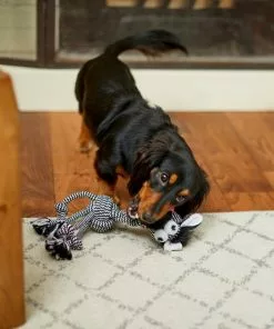 Frisco Zebra Rope Squeaky Dog Toy 7 Frisco Zebra Rope Squeaky Dog Toy -Pet Food Gear Shop 242163 PT2. SY630 V1609336949