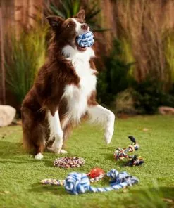 Frisco Rope Multipack for Medium Dog Toys, 5 count -Pet Food Gear Shop 243978 PT2. SY630 V1635439307