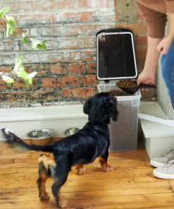 Frisco Airtight Food Storage Container, Clear/Black -Pet Food Gear Shop 245804 PT8. SY630 V1608850956