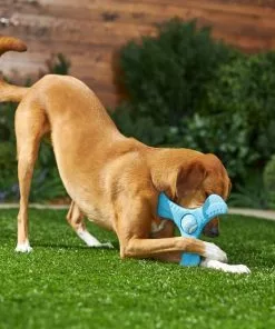 Frisco Plastic Tri-Flyer Dog Toy -Pet Food Gear Shop 245910 PT2. SY630 V1607371960