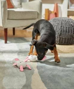 Frisco Bunny Plush Multipack Puppy Toy, 2 count -Pet Food Gear Shop 245916 PT2. SY630 V1607371940