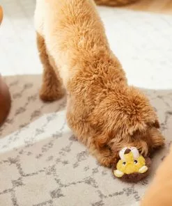 Frisco Lion Plush Squeaky Dog Toy -Pet Food Gear Shop 245926 PT2. SY630 V1607372008