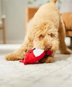 Frisco Fox Disc Plush Squeaky Dog Toy -Pet Food Gear Shop 245928 PT2. SY630 V1607371965