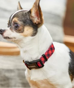 Frisco Buffalo Check Dog Collar -Pet Food Gear Shop 246989 PT3. SY630 V1606864045