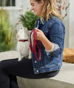 Frisco Buffalo Check Dog Leash -Pet Food Gear Shop 246994 PT3. SY630 V1606866429