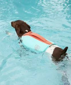 Frisco Active Dog Life Jacket 19 Frisco Active Dog Life Jacket -Pet Food Gear Shop 247890 PT8. SY630 V1616505897