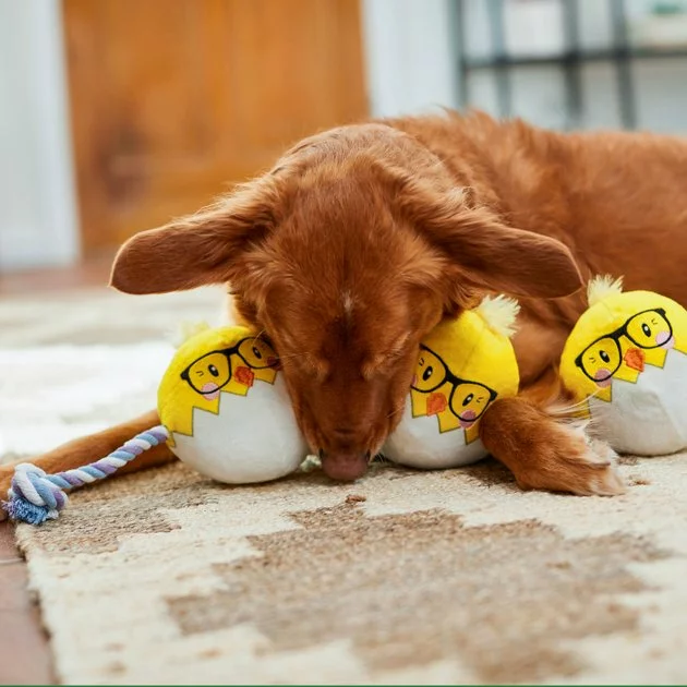 Frisco Easter Hipster Chicks Plush with Rope Dog Toy 5 Frisco Easter Hipster Chicks Plush with Rope Dog Toy - Image 3