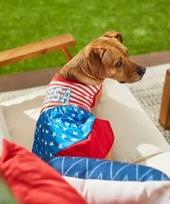 Frisco USA Dog & Cat Dress -Pet Food Gear Shop 248659 PT4. SY630 V1632418898