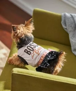 Frisco Boss Babe Dog & Cat Dress -Pet Food Gear Shop 248673 PT7. SY630 V1613586417